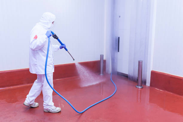 Best Roof Washing  in Frederickson, WA