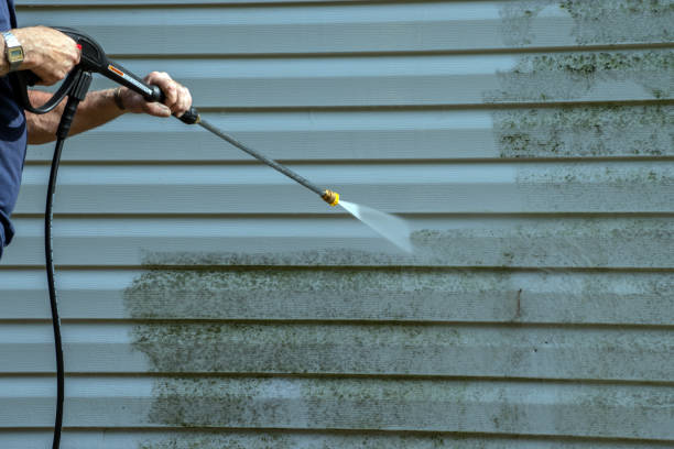 Best Patio and Deck Pressure Washing  in Frederickson, WA